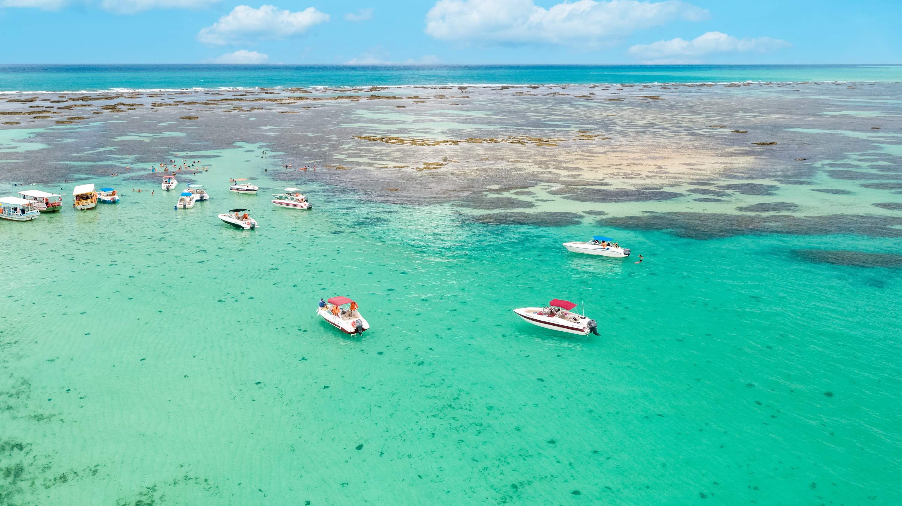 Vista aérea da praia de Maragogi com densa vegetação de coqueiros, faiza de areia branca e mar azul turquesa.